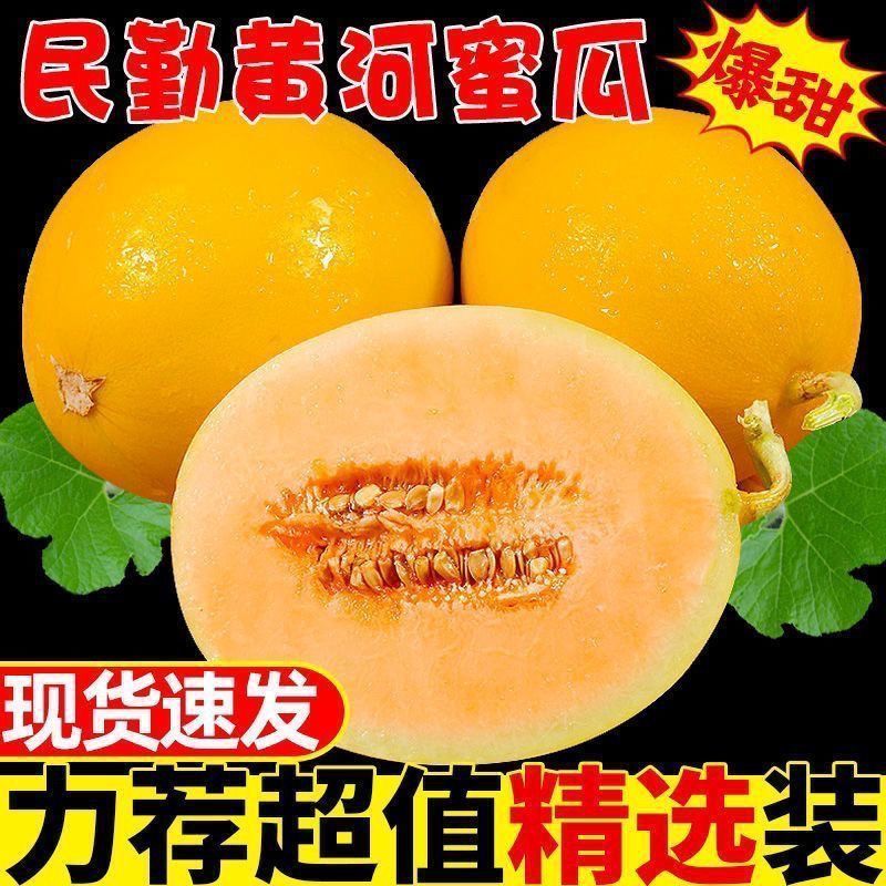 正宗甘肃民勤蜜瓜沙漠黄皮大甜瓜脆大瓜新鲜应季水果整箱特价