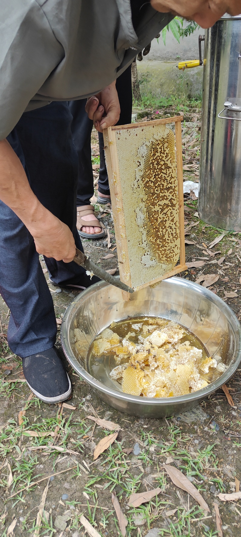 蜂蜜桂圆蜜50斤起批，欢迎各位下单，来电咨询