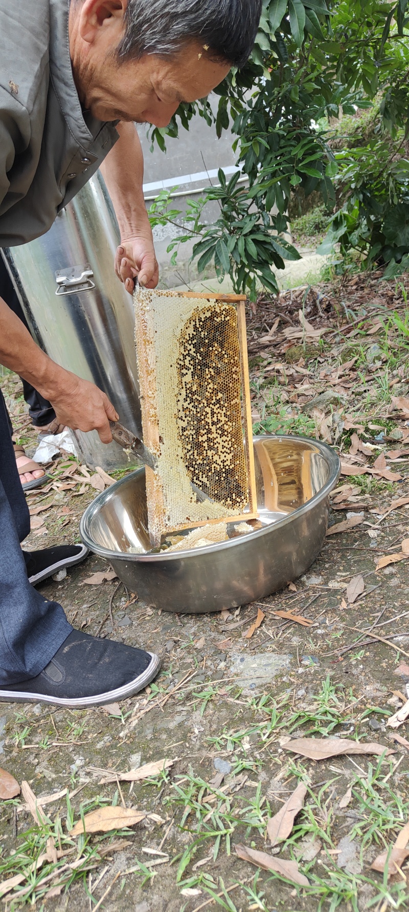 蜂蜜桂圆蜜50斤起批，欢迎各位下单，来电咨询
