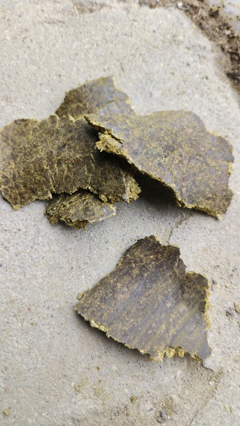 棉籽饼薄饼大量有货