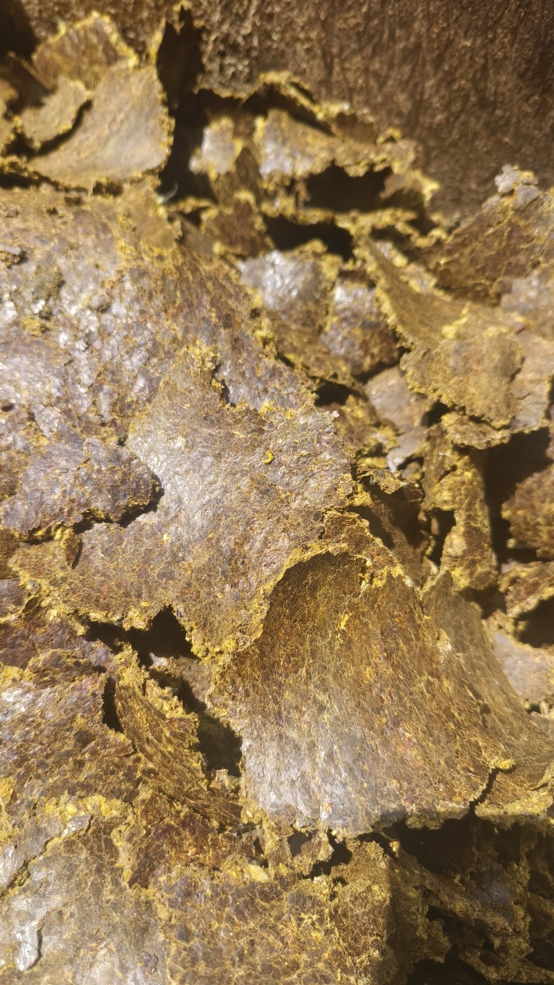 棉籽饼薄饼大量有货