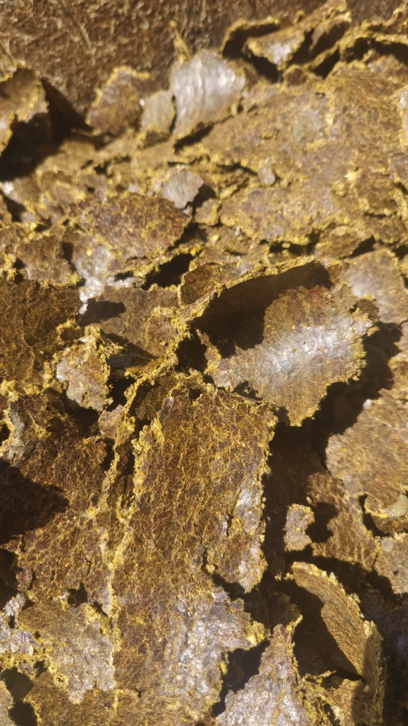 棉籽饼薄饼大量有货