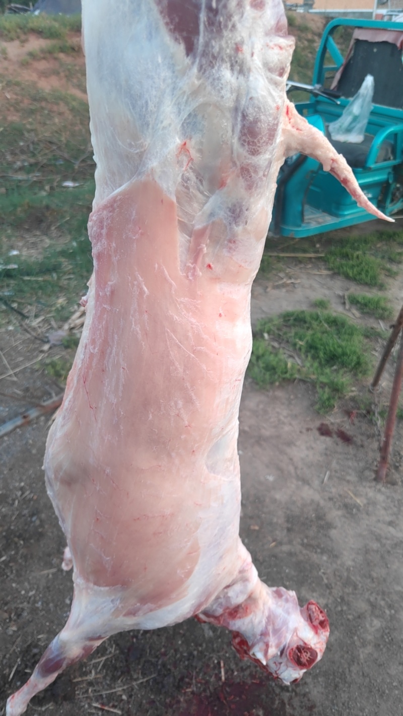 宁夏盐池山羊肉