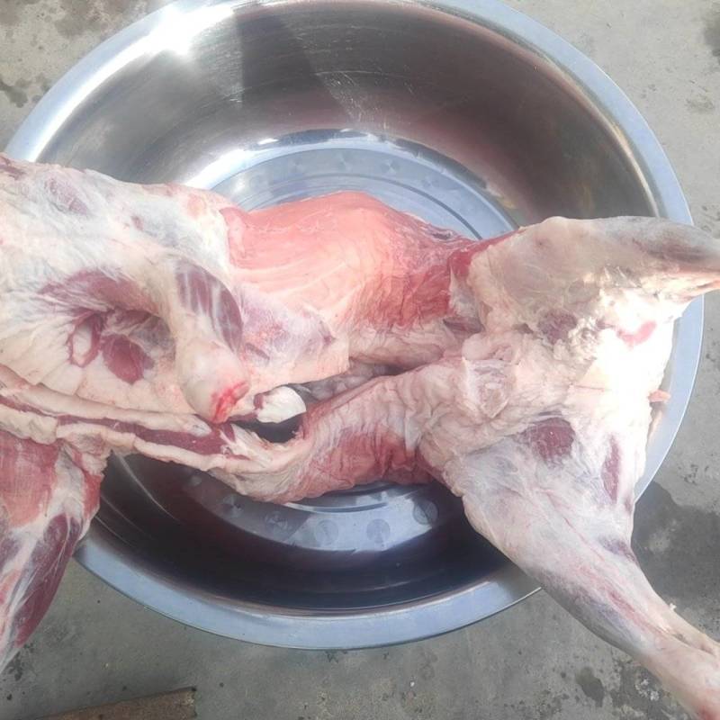 宁夏盐池山羊肉