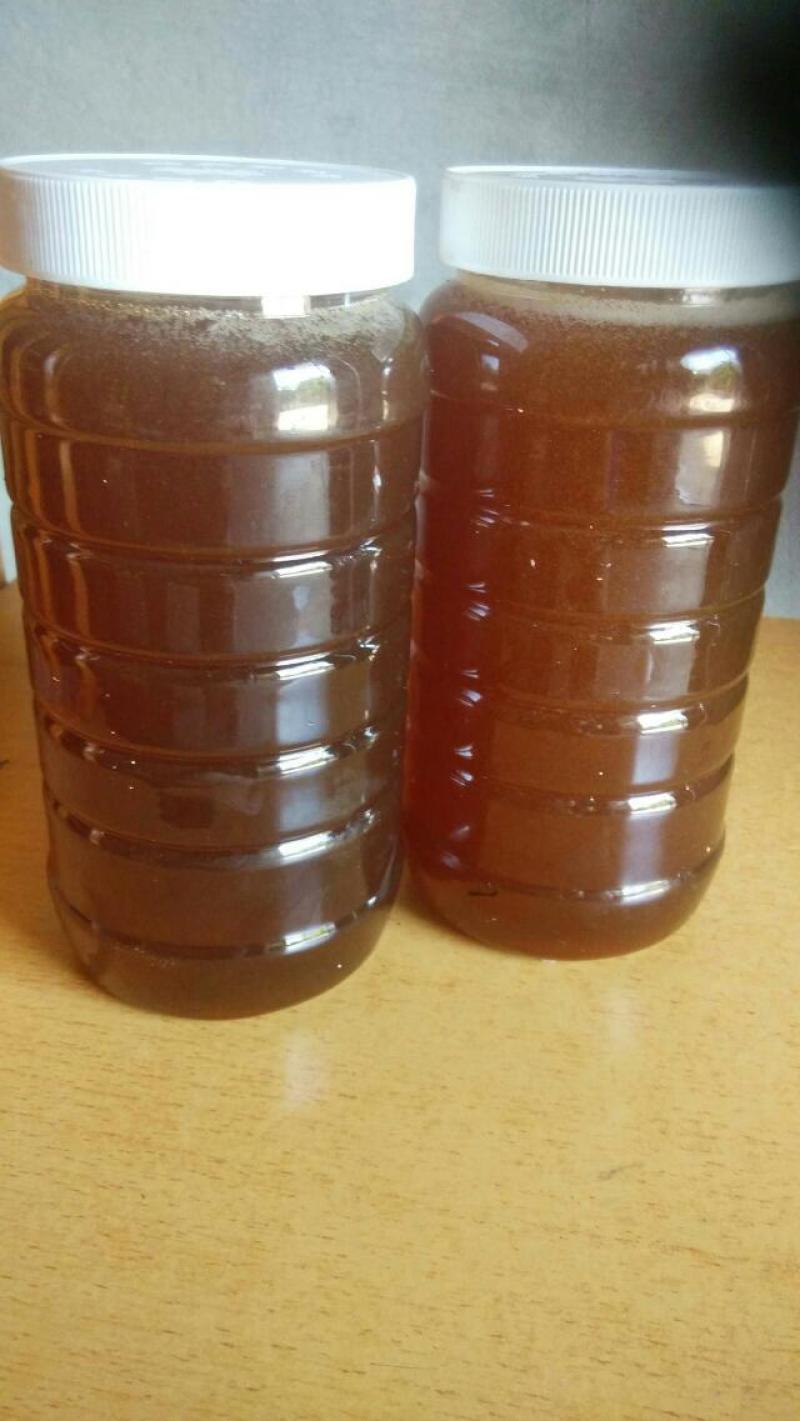 中华土蜂蜜