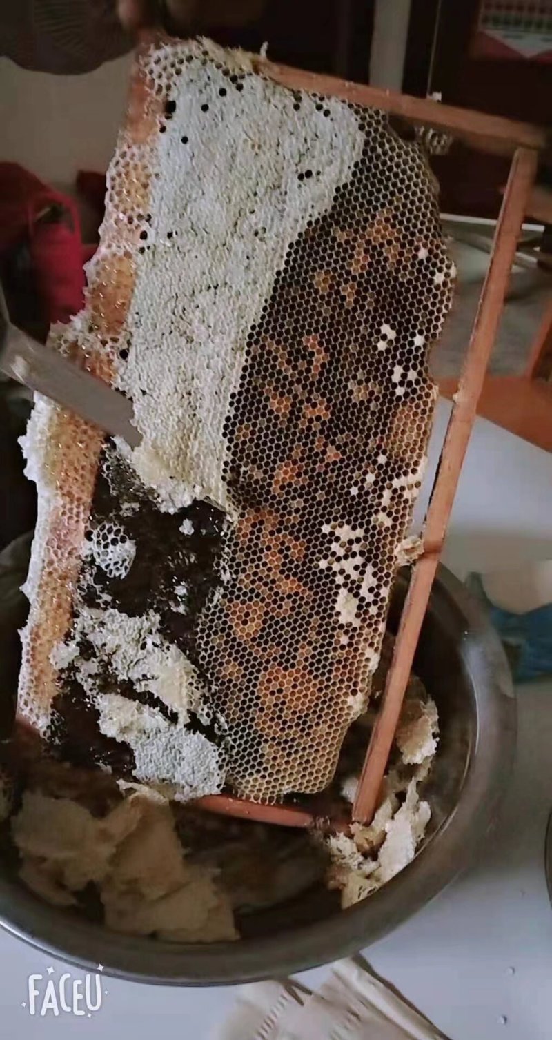 中华土蜂蜜