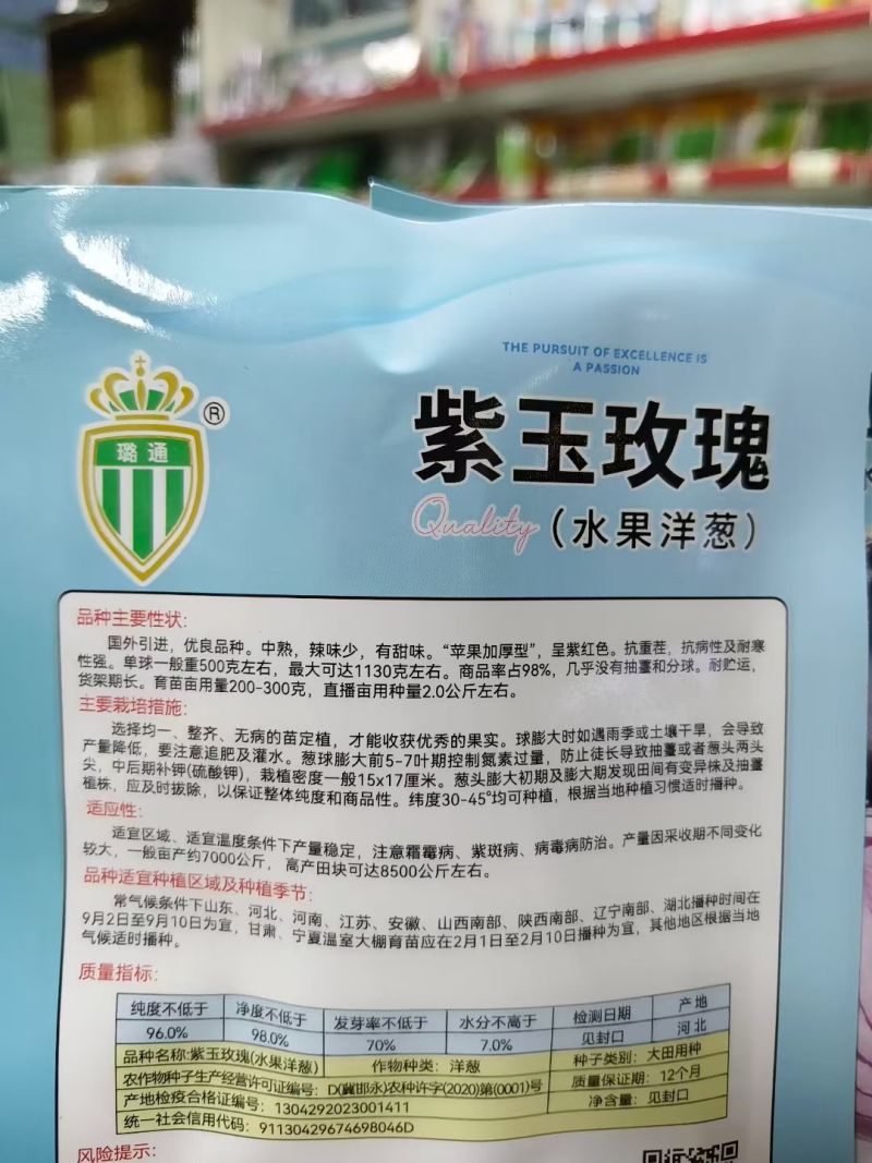紫玉玫瑰水果洋葱种子中熟紫红洋葱种子辣味少有甜味洋葱圆葱