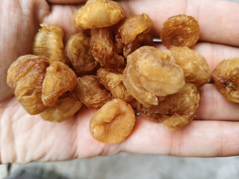 桂圆肉各种规格龙眼肉齐全批发零售量大优惠