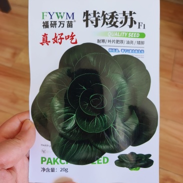 特矮苏矮脚青梗菜种子油亮苏州青种籽高产耐寒耐冻黑亮青菜种