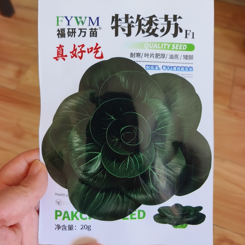 特矮苏矮脚青梗菜种子油亮苏州青种籽高产耐寒耐冻黑亮青菜种