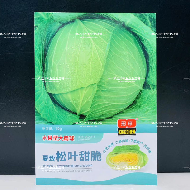 夏致松叶甜脆水果甘蓝种子大扁球包菜种籽脆甜翠绿油亮扁包菜