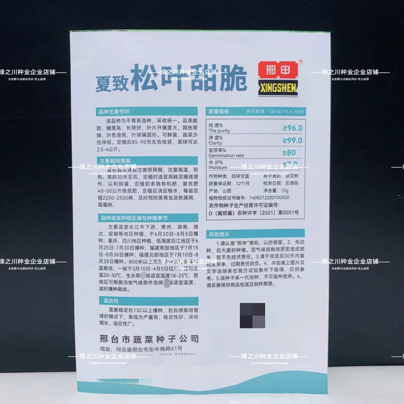夏致松叶甜脆水果甘蓝种子大扁球包菜种籽脆甜翠绿油亮扁包菜