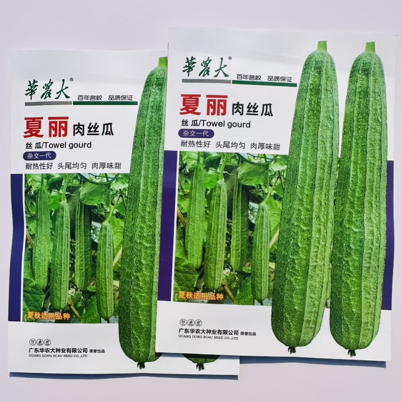 夏丽肉丝瓜种子农家春秋季耐热易种口感脆甜蔬菜种孑长丝瓜