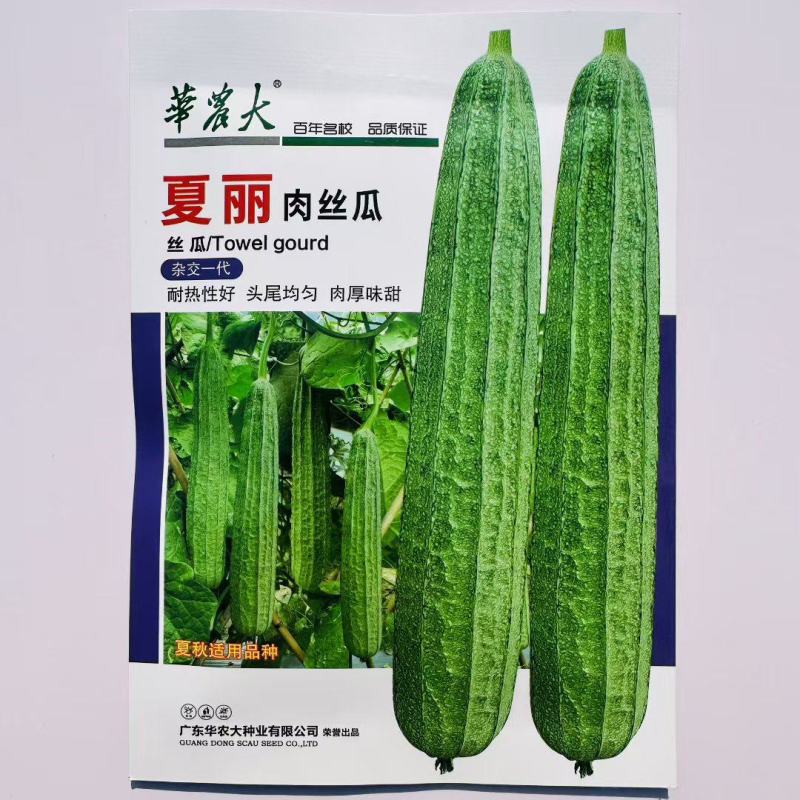 夏丽肉丝瓜种子农家春秋季耐热易种口感脆甜蔬菜种孑长丝瓜