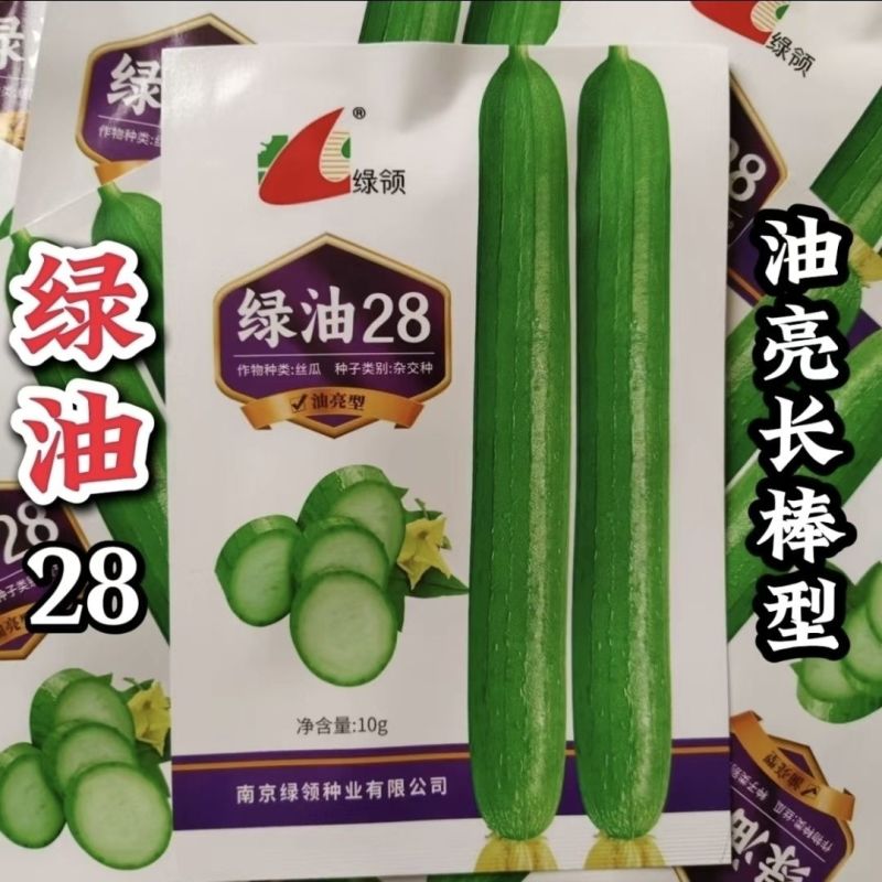 绿油28丝瓜种子杂交深绿油亮长棒丝瓜种子肉厚香味浓长丝瓜