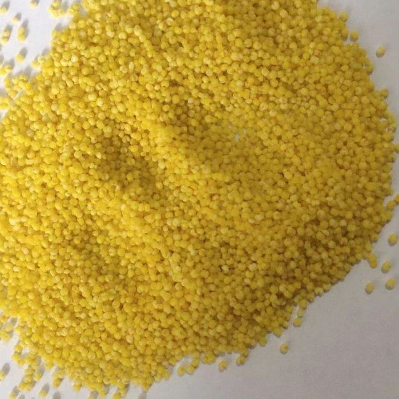 敖汉小米