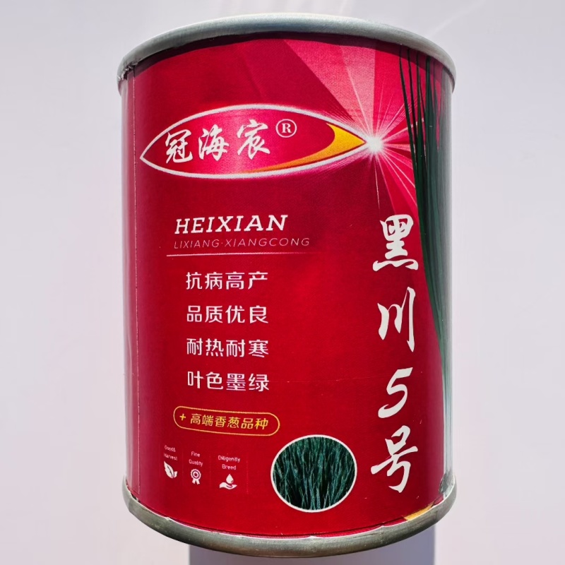 黑叶金刚黑叶香葱种子四季小香葱耐热耐寒春夏秋山东小葱种子