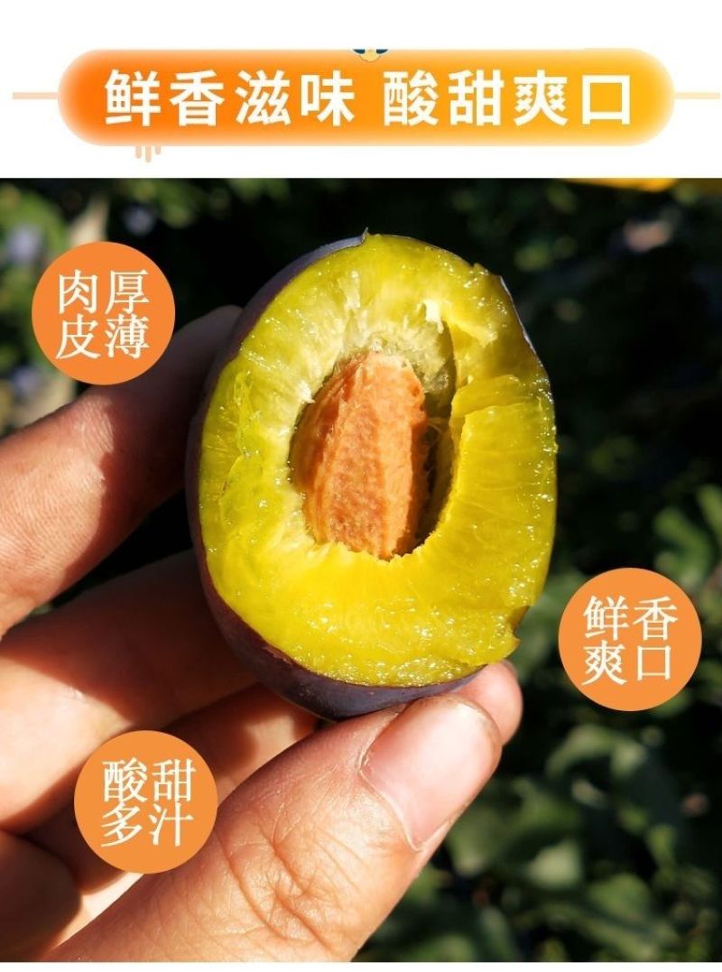 西梅李子