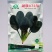 蔬菠A35号菠菜种子圆叶抗病强耐热抗寒耐抽苔大叶菠菜种子