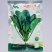蔬菠A35号菠菜种子圆叶抗病强耐热抗寒耐抽苔大叶菠菜种子