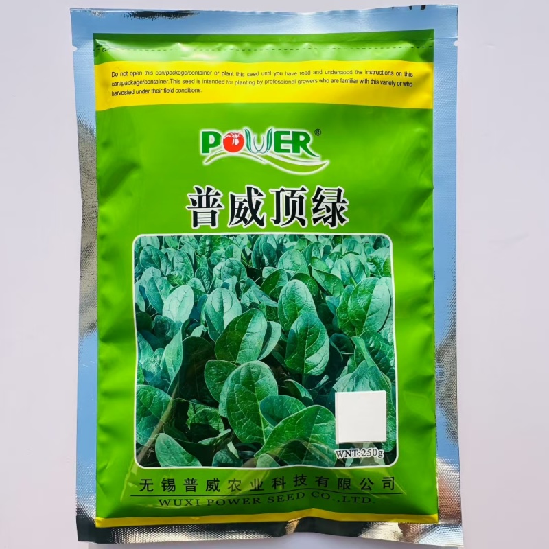 蔬菠A35号菠菜种子圆叶抗病强耐热抗寒耐抽苔大叶菠菜种子