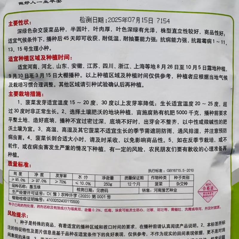 豫艺杂交趴地菠菜种籽黑优19菠菜高产耐寒黑圆叶越冬菠菜种