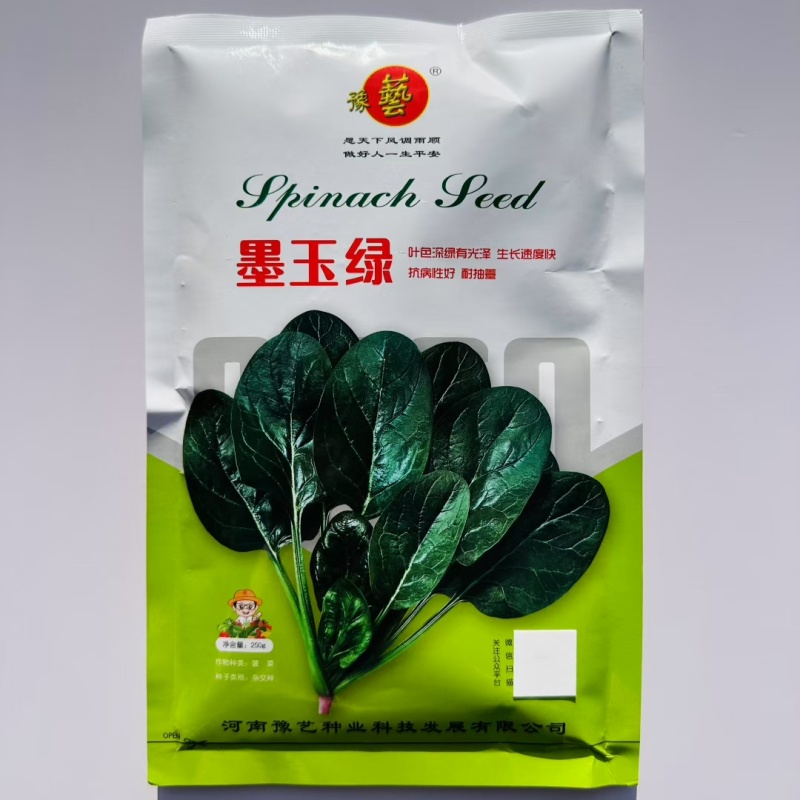 豫艺杂交趴地菠菜种籽黑优19菠菜高产耐寒黑圆叶越冬菠菜种