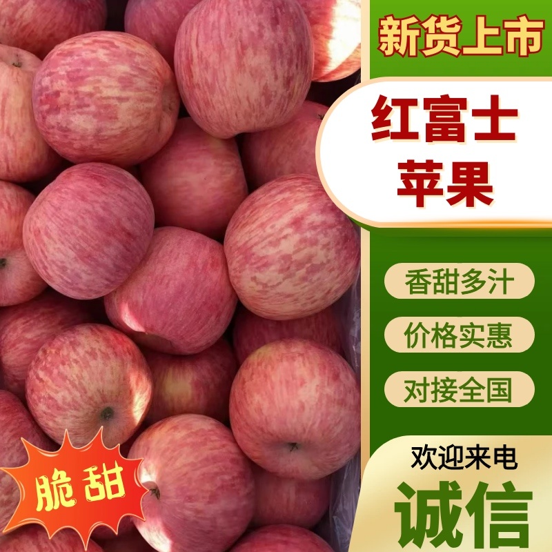 陕西渭南红富士苹果大量有货产地直销保质保量一手货源