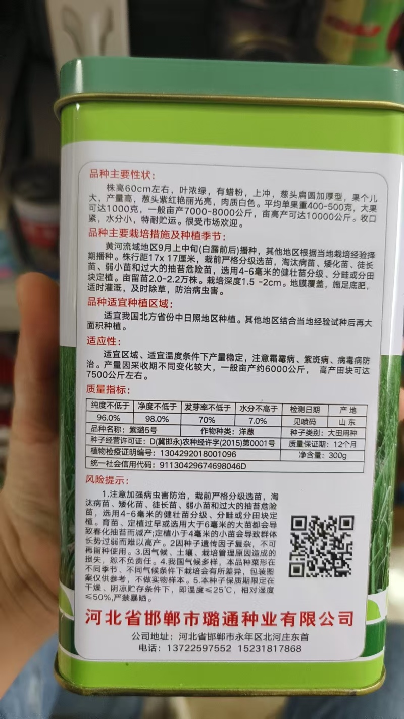 紫璐5号紫红皮洋葱种子耐寒抗病扁圆葱葱头球葱种籽大田种