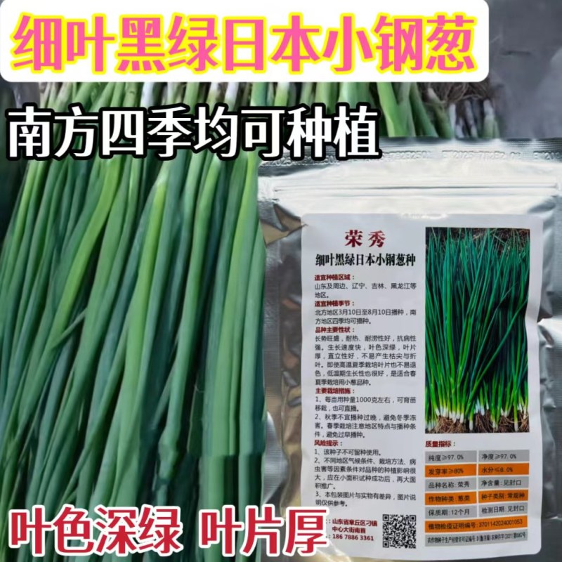 黑叶金刚黑叶香葱种子四季小香葱耐热耐寒春夏秋山东小葱种子