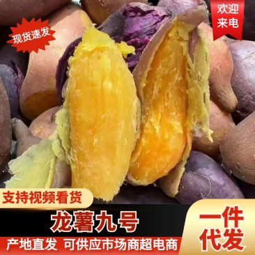 【龙薯九号】湖北龙九、西瓜红、紫薯大量现货各种规格代发全国