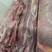 4肋牛肋排，牛肋排（4肋）肉厚