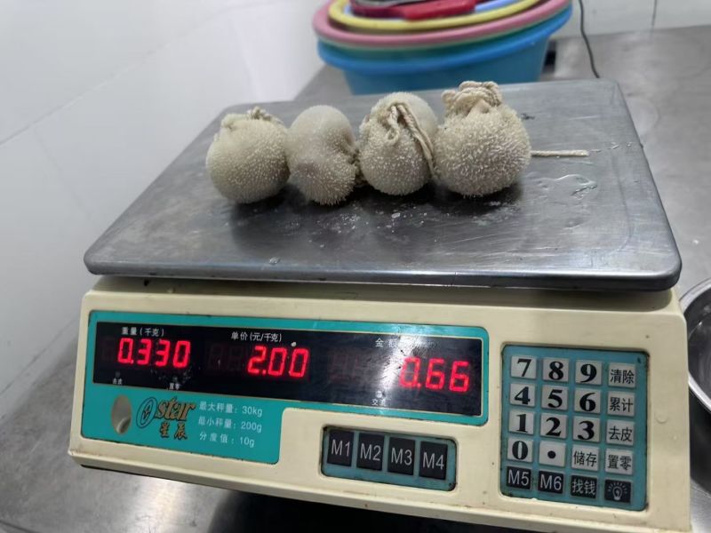 肚包肉，工厂直销