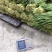 镇平精品韭菜自产自销