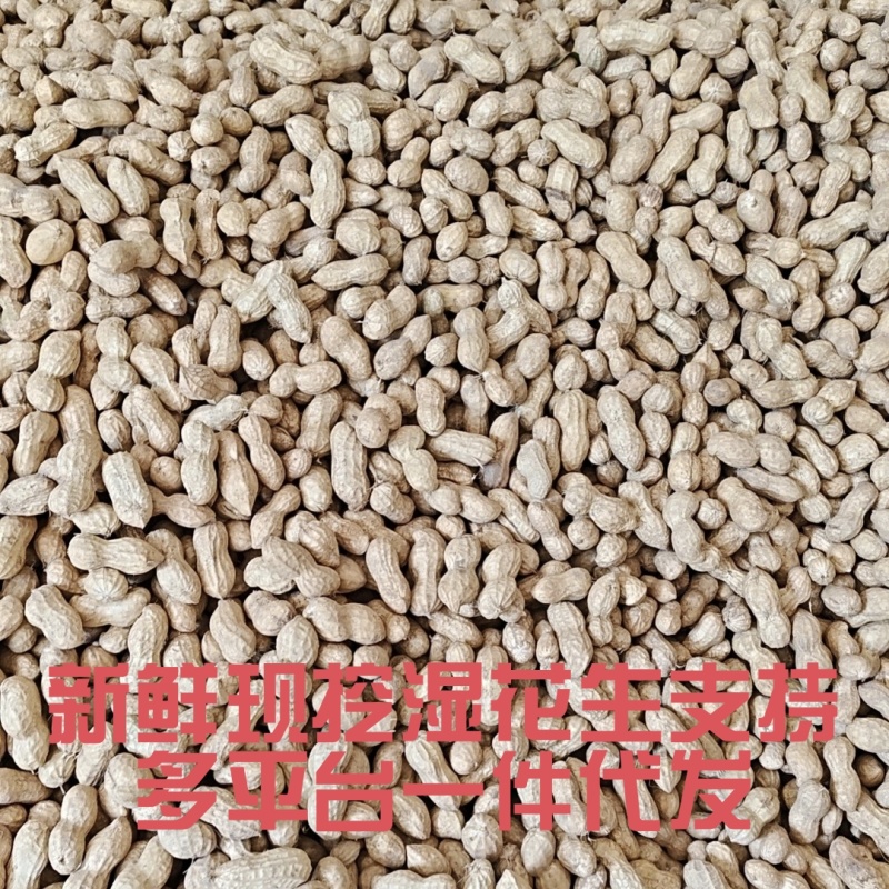 山东新鲜花生农家自种粉红皮花生5斤包邮电商一件代发