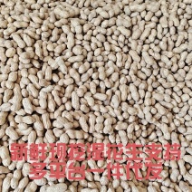 山东新鲜花生农家自种粉红皮花生5斤包邮电商一件代发