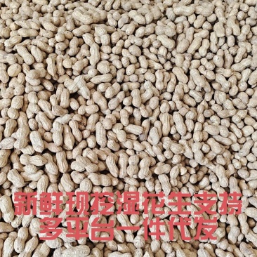 山东新鲜花生农家自种粉红皮花生5斤包邮电商一件代发