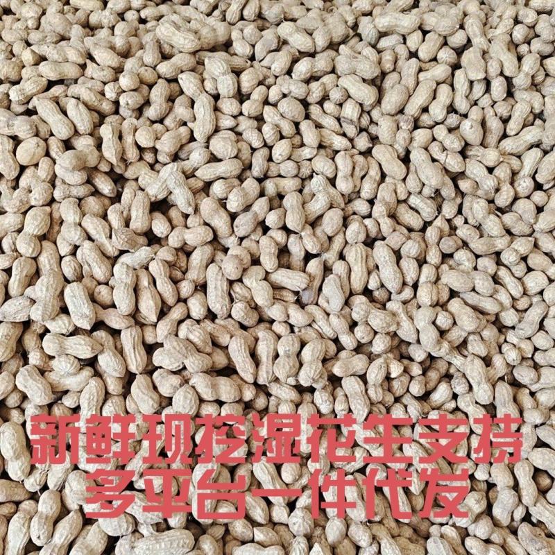 山东新鲜花生农家自种粉红皮花生5斤包邮电商一件代发