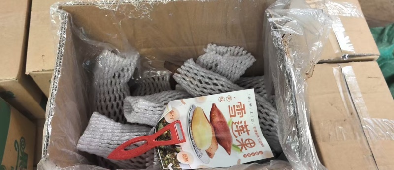 雪莲果电商一件代发24小时揽收发货日出10000+