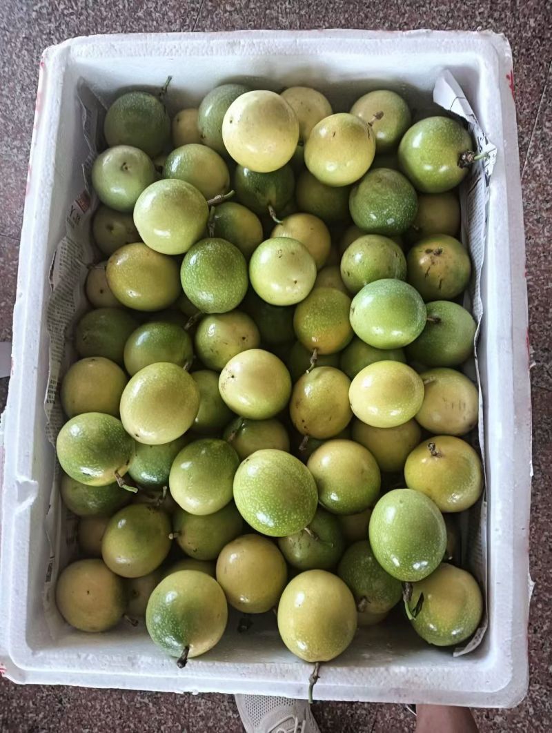 百香果