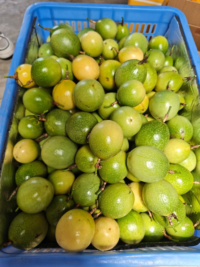 百香果
