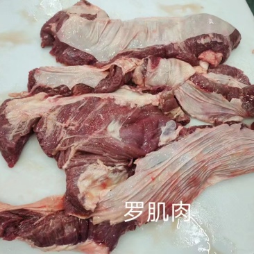 牛罗肌肉