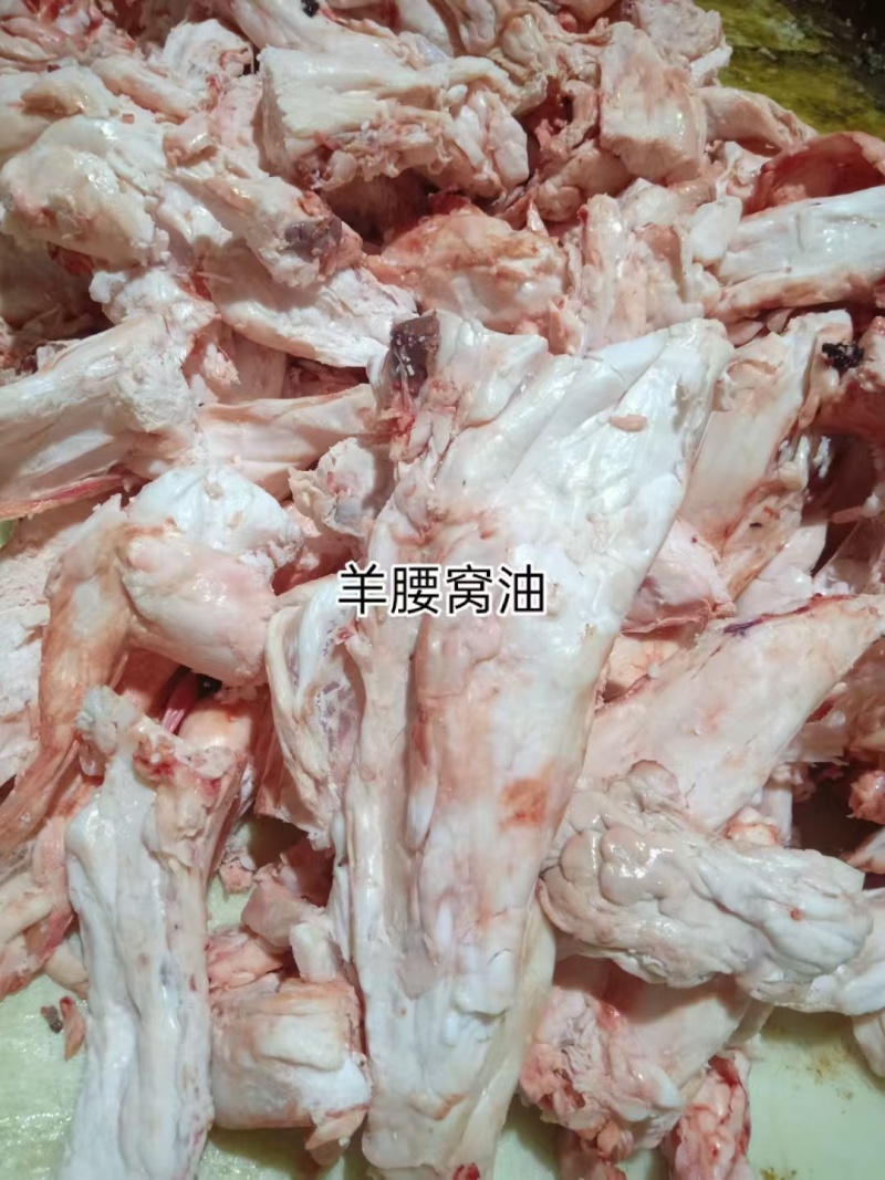 羊腰窝油（20公斤一件）