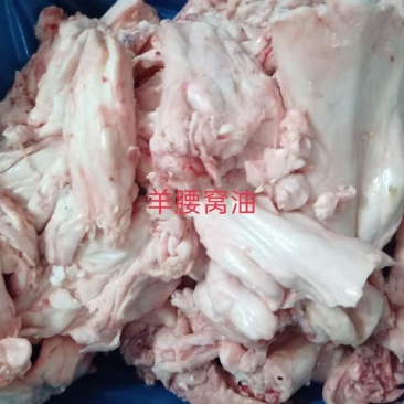 羊腰窝油（20公斤一件）