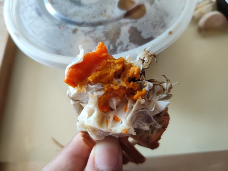 精品河蟹，批发价
