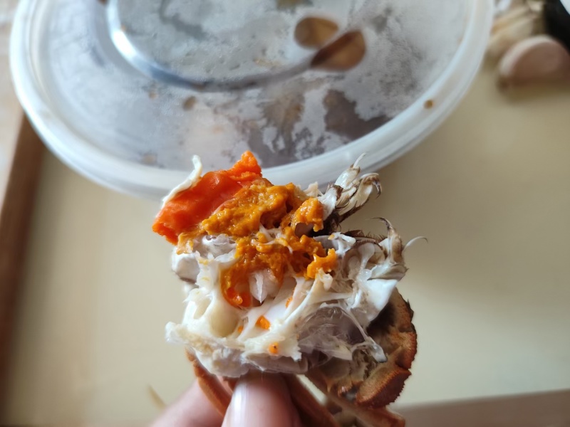 精品河蟹，批发价