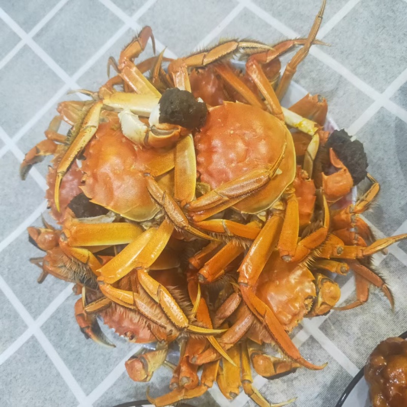 精品河蟹，批发价