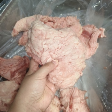 牛膘油（25公斤一公）