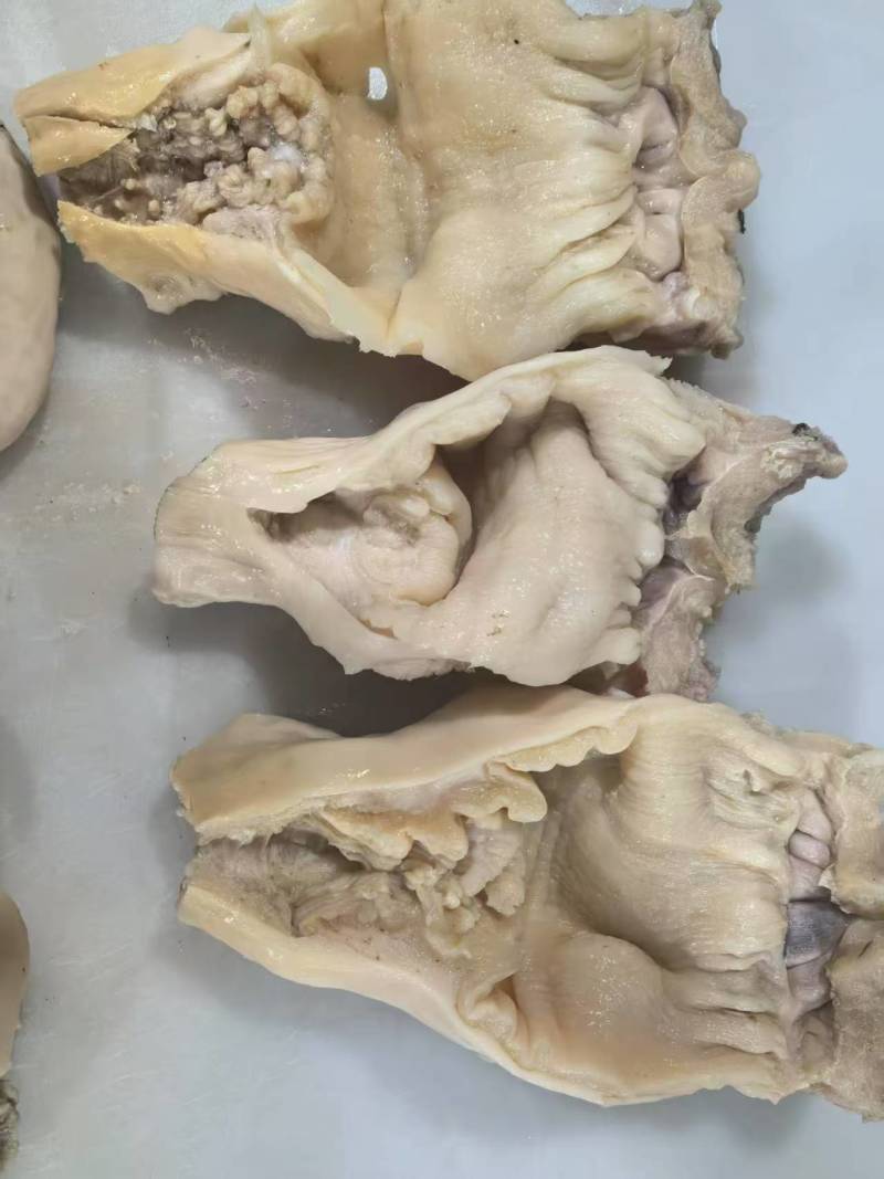 不带勾牛小货