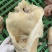 不带勾牛小货